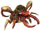 Giant Crab